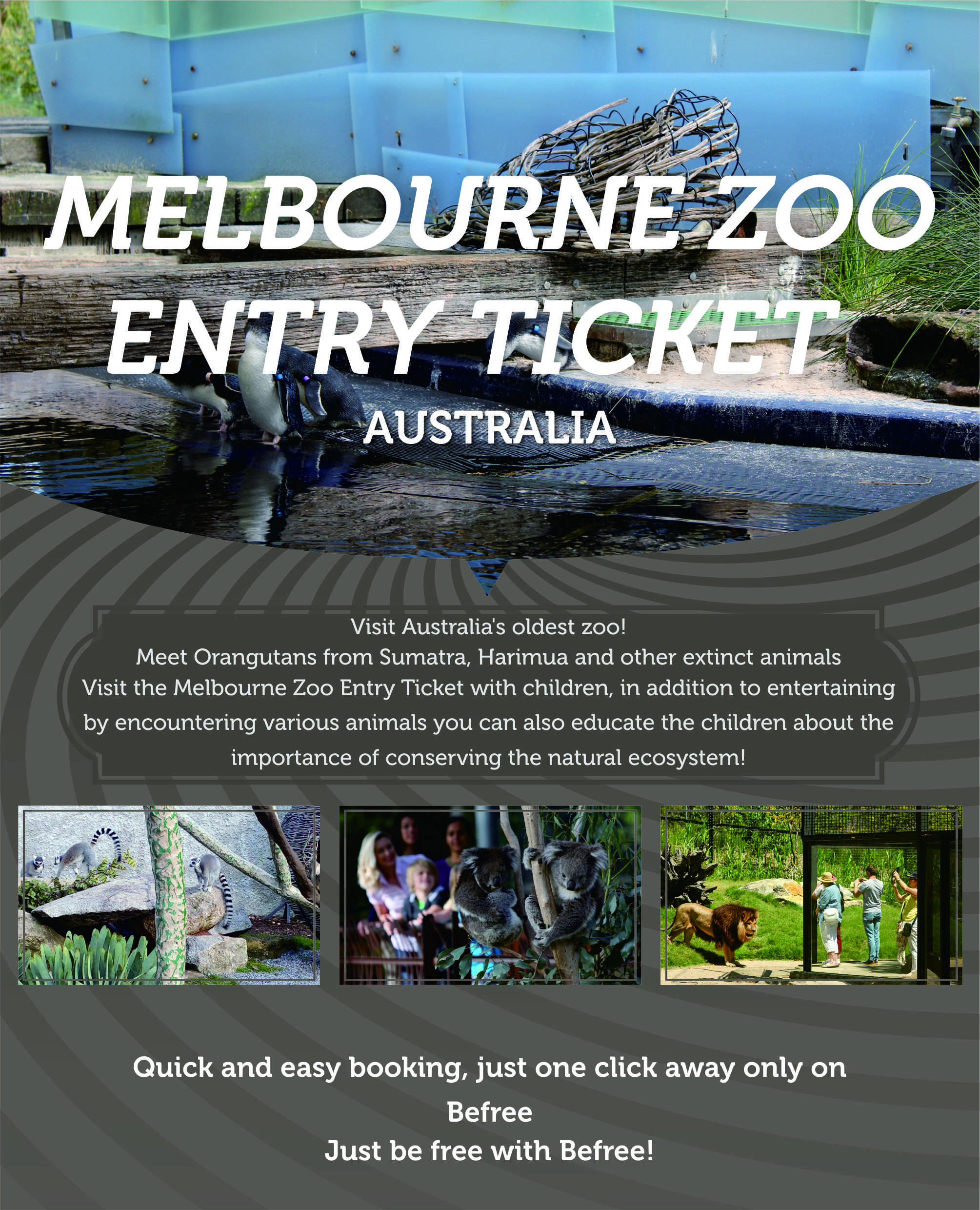 Melbourne Zoo Entry Ticket