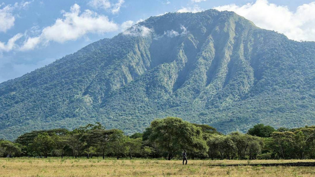 Private One Day Trip Taman Nasional Baluran Banyuwangi