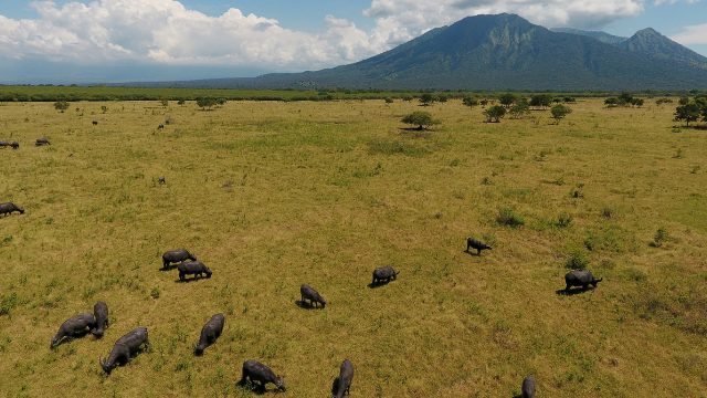 Private One Day Trip Taman Nasional Baluran Banyuwangi