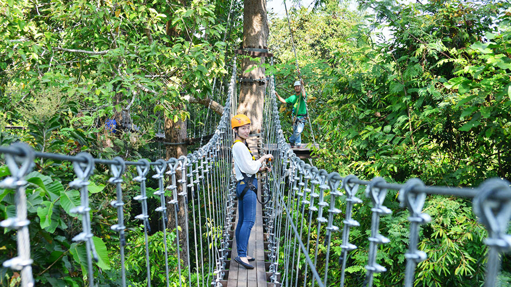 Angkor Zipline