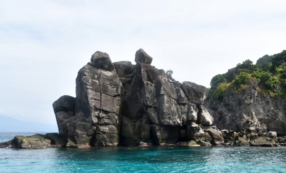 Apo Island Snorkeling Tour