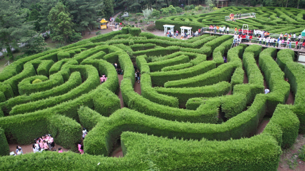 Jeju Kimnyoung Maze Park Discount Ticket