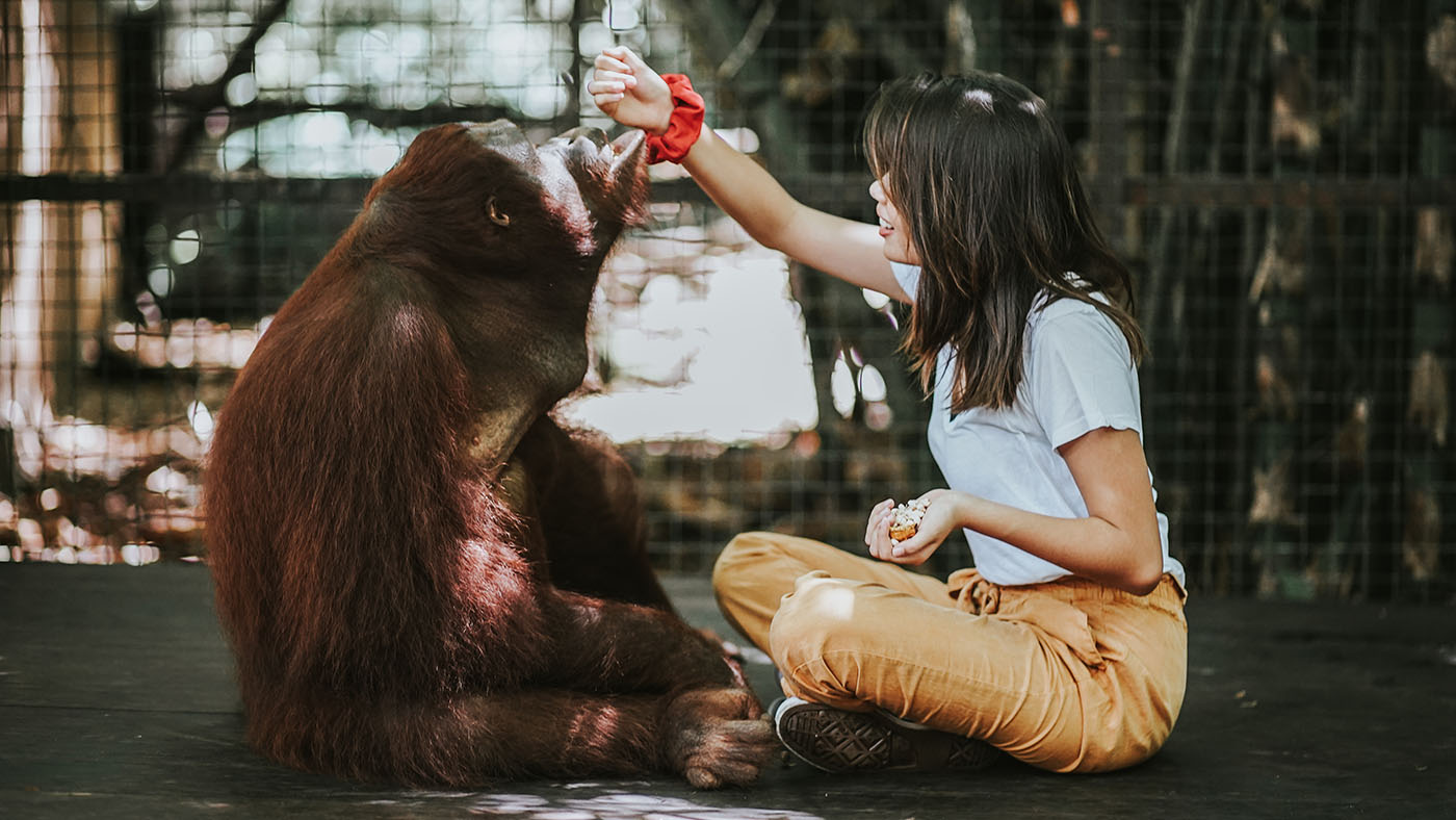 Lombok Wildlife Park