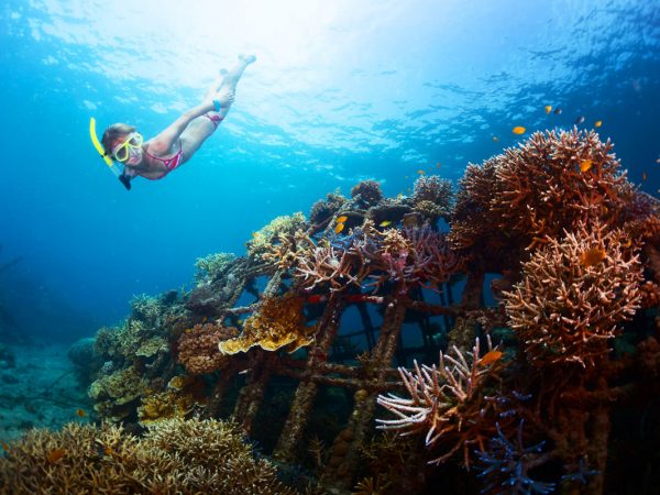 Bali Nusa Dua Snorkeling Tour