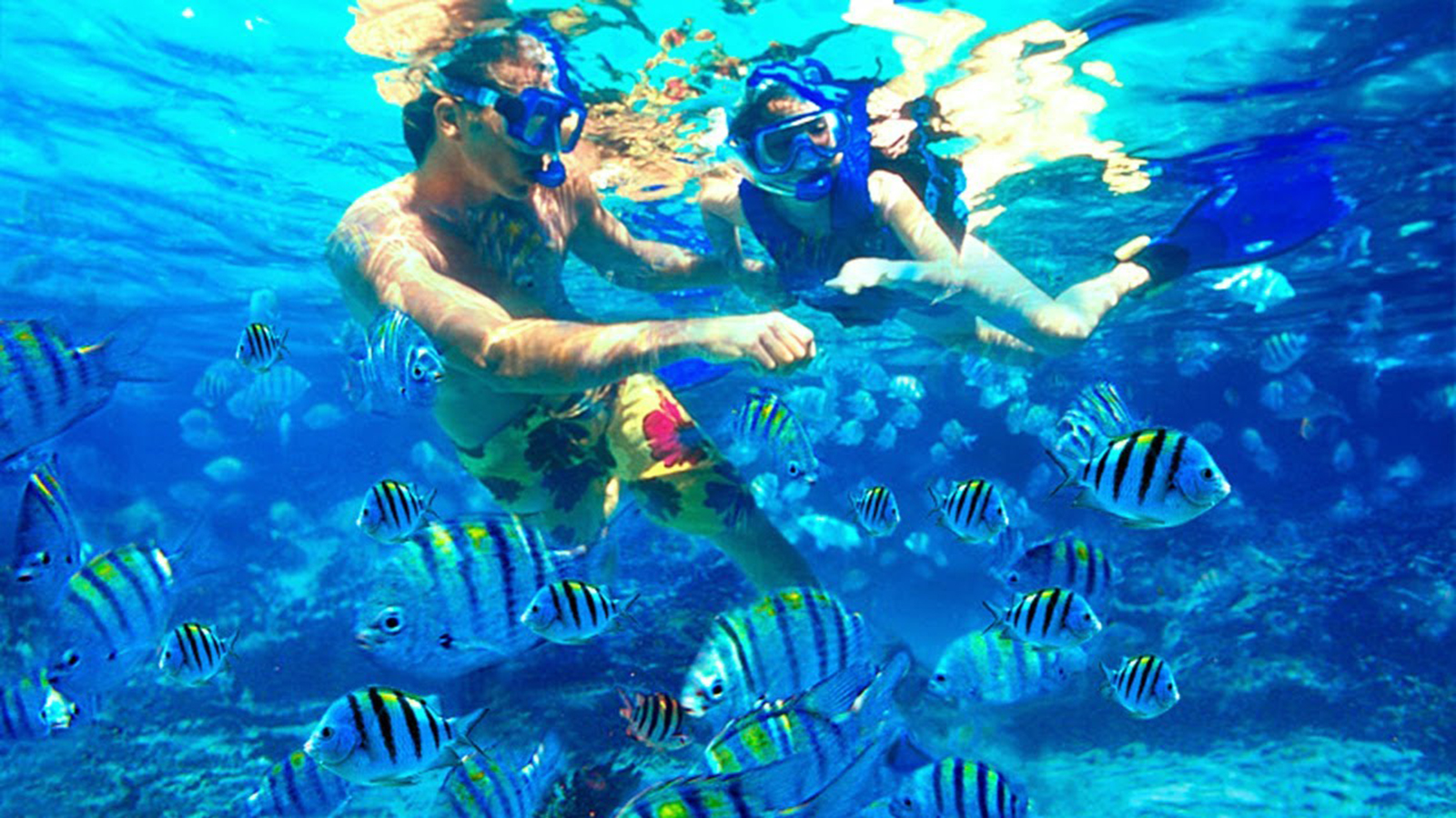 Bali Nusa Dua Snorkeling Tour