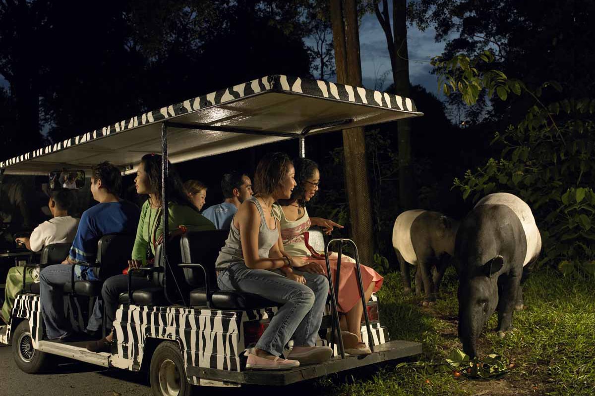 Singapore Night Safari Open Dated Admission With English Tram Ride